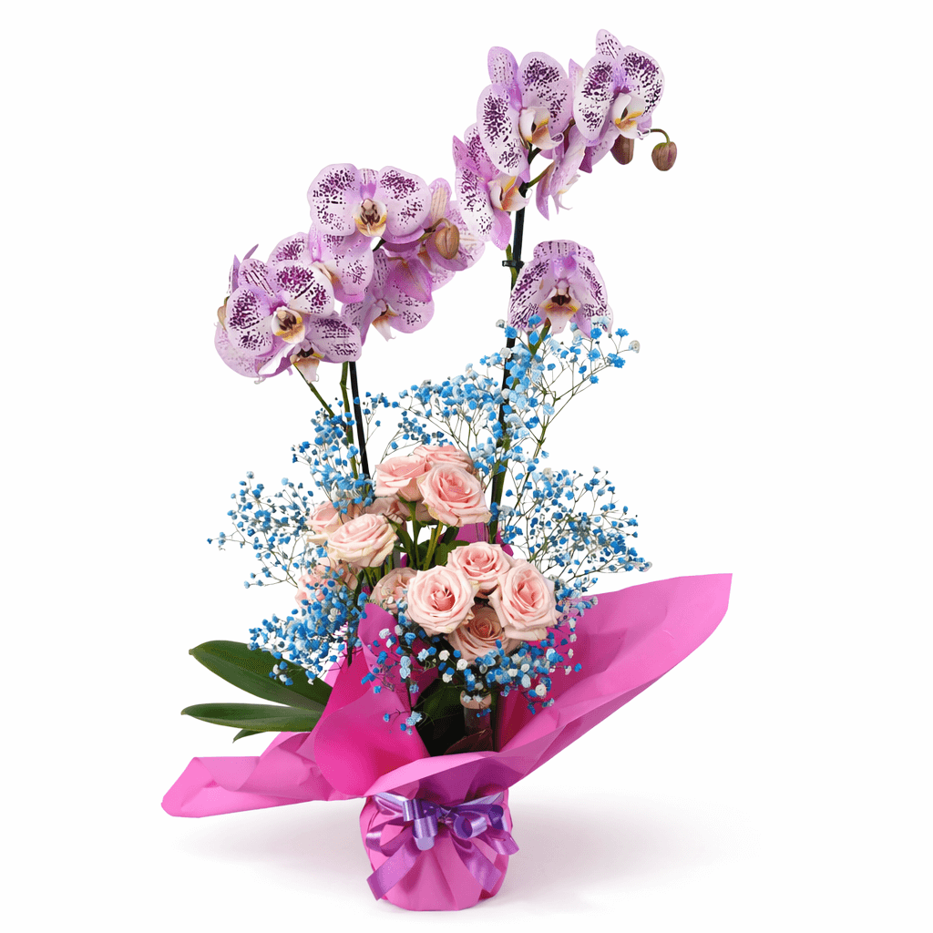 Orquídea con Rosas